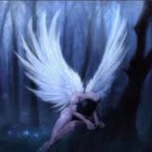 Meet your Posher, Angel